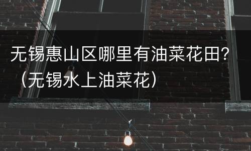 无锡惠山区哪里有油菜花田？（无锡水上油菜花）