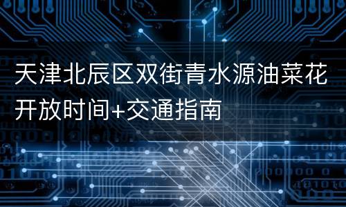 天津北辰区双街青水源油菜花开放时间+交通指南