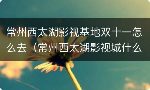 常州西太湖影视基地双十一怎么去（常州西太湖影视城什么时候开放）