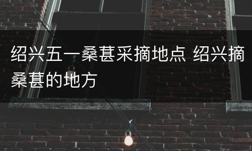 绍兴五一桑葚采摘地点 绍兴摘桑葚的地方