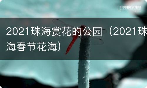2021珠海赏花的公园（2021珠海春节花海）