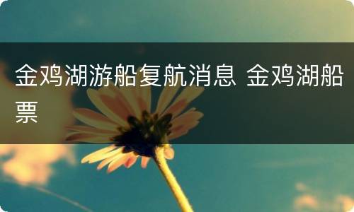 金鸡湖游船复航消息 金鸡湖船票