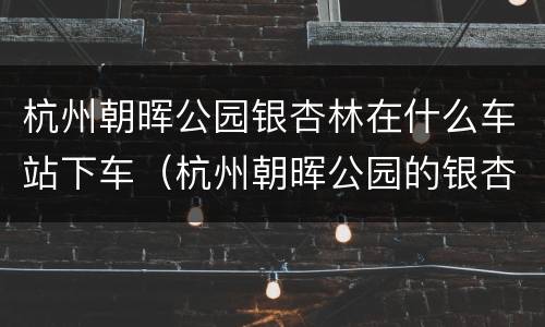 杭州朝晖公园银杏林在什么车站下车（杭州朝晖公园的银杏大道）