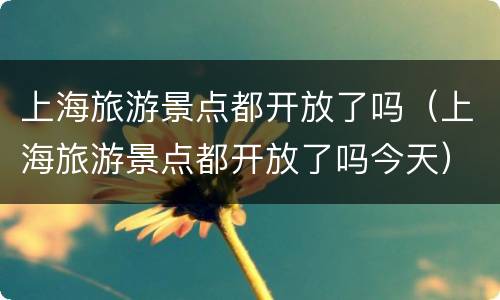 上海旅游景点都开放了吗（上海旅游景点都开放了吗今天）