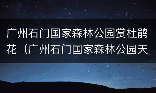 广州石门国家森林公园赏杜鹃花（广州石门国家森林公园天池花海）