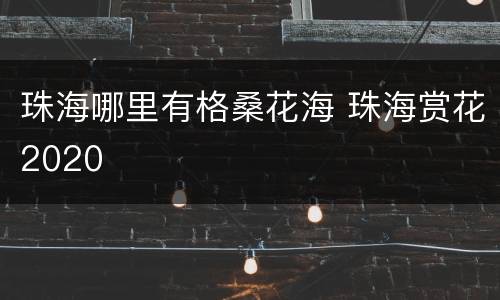 珠海哪里有格桑花海 珠海赏花2020