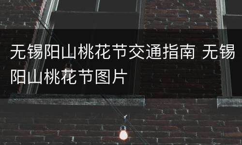无锡阳山桃花节交通指南 无锡阳山桃花节图片