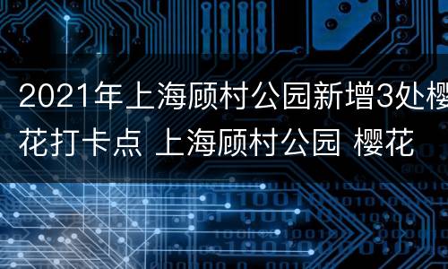 2021年上海顾村公园新增3处樱花打卡点 上海顾村公园 樱花