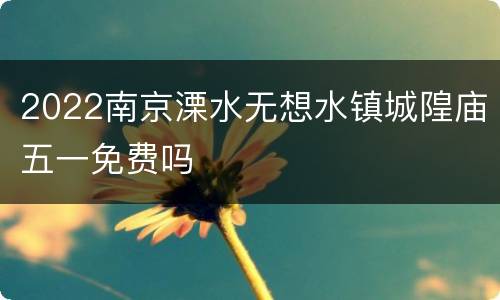 2022南京溧水无想水镇城隍庙五一免费吗
