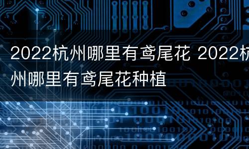 2022杭州哪里有鸢尾花 2022杭州哪里有鸢尾花种植