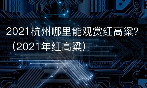 2021杭州哪里能观赏红高粱？（2021年红高粱）