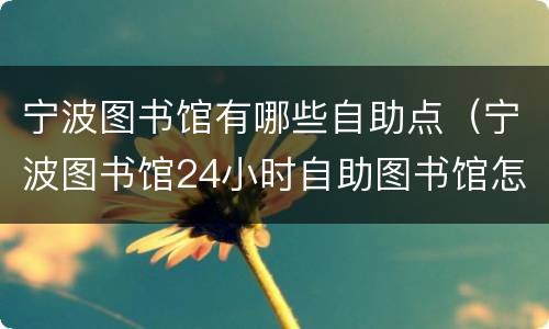 宁波图书馆有哪些自助点（宁波图书馆24小时自助图书馆怎么样）