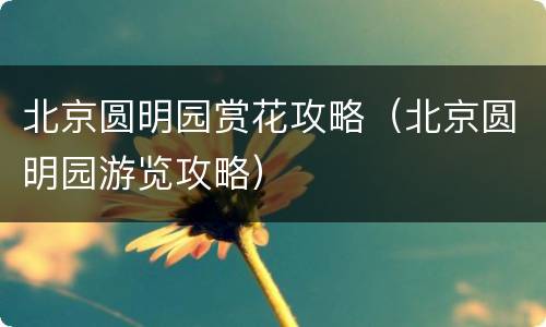 北京圆明园赏花攻略（北京圆明园游览攻略）