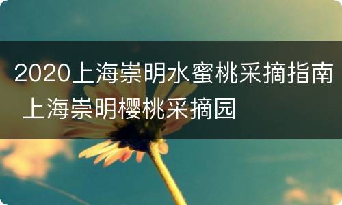 2020上海崇明水蜜桃采摘指南 上海崇明樱桃采摘园
