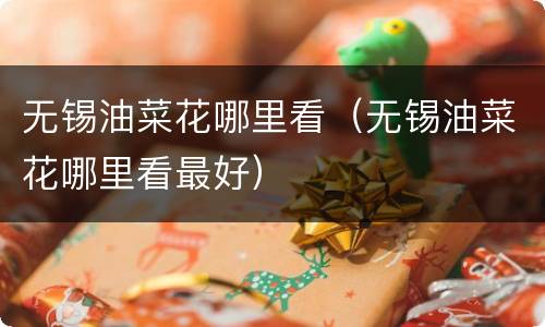 无锡油菜花哪里看（无锡油菜花哪里看最好）