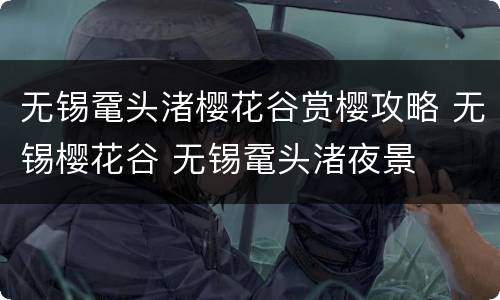 无锡鼋头渚樱花谷赏樱攻略 无锡樱花谷 无锡鼋头渚夜景