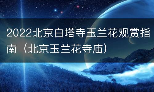 2022北京白塔寺玉兰花观赏指南（北京玉兰花寺庙）
