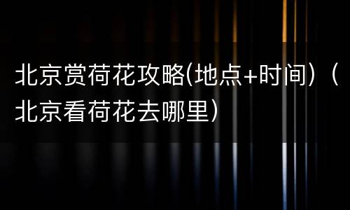 北京赏荷花攻略(地点+时间)（北京看荷花去哪里）
