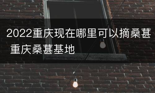 2022重庆现在哪里可以摘桑葚 重庆桑葚基地