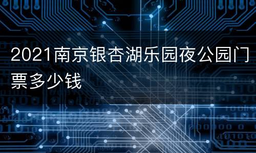 2021南京银杏湖乐园夜公园门票多少钱