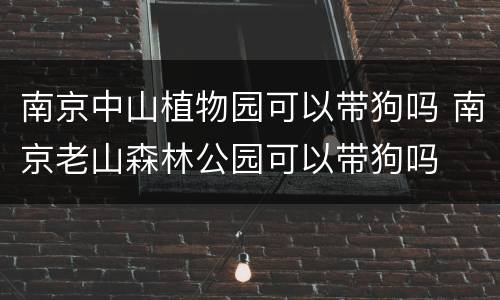 南京中山植物园可以带狗吗 南京老山森林公园可以带狗吗