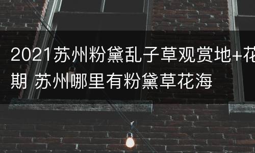 2021苏州粉黛乱子草观赏地+花期 苏州哪里有粉黛草花海