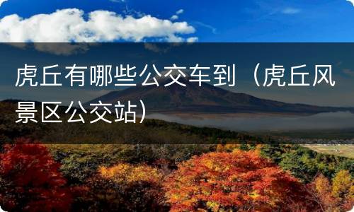 虎丘有哪些公交车到（虎丘风景区公交站）