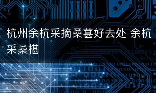 杭州余杭采摘桑葚好去处 余杭采桑椹