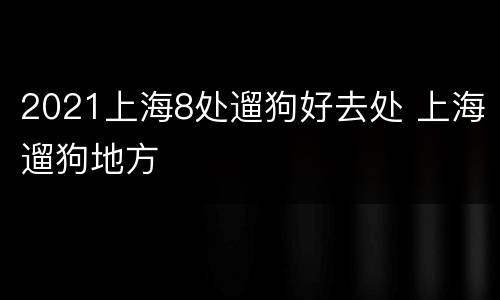 2021上海8处遛狗好去处 上海遛狗地方