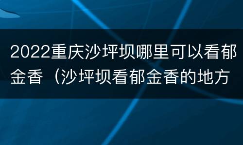 2022重庆沙坪坝哪里可以看郁金香（沙坪坝看郁金香的地方）