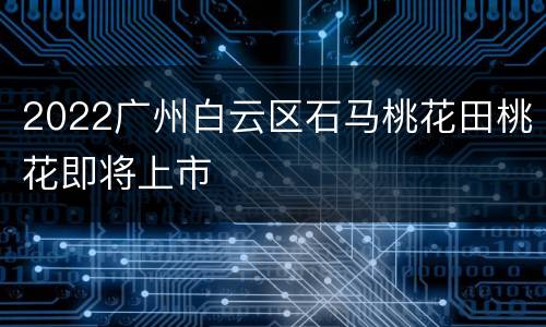 2022广州白云区石马桃花田桃花即将上市