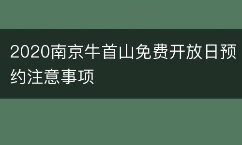 2020南京牛首山免费开放日预约注意事项