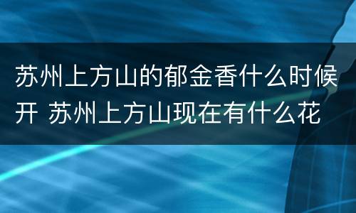 苏州上方山的郁金香什么时候开 苏州上方山现在有什么花