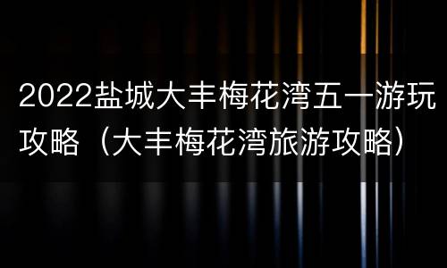 2022盐城大丰梅花湾五一游玩攻略（大丰梅花湾旅游攻略）