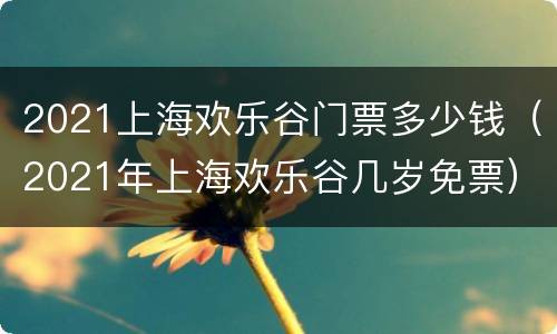 2021上海欢乐谷门票多少钱（2021年上海欢乐谷几岁免票）