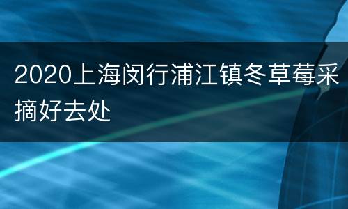 2020上海闵行浦江镇冬草莓采摘好去处