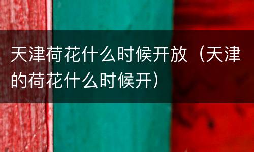 天津荷花什么时候开放（天津的荷花什么时候开）