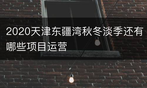 2020天津东疆湾秋冬淡季还有哪些项目运营