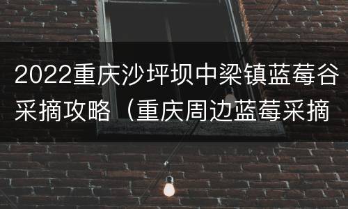 2022重庆沙坪坝中梁镇蓝莓谷采摘攻略（重庆周边蓝莓采摘）