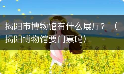揭阳市博物馆有什么展厅？（揭阳博物馆要门票吗）
