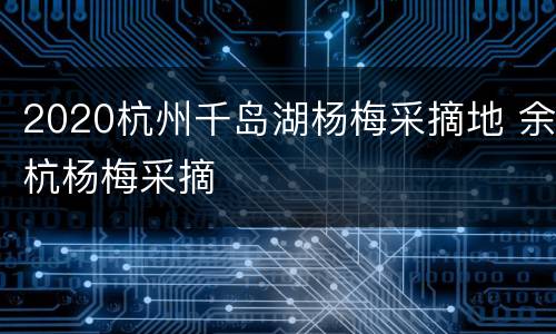 2020杭州千岛湖杨梅采摘地 余杭杨梅采摘