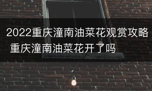 2022重庆潼南油菜花观赏攻略 重庆潼南油菜花开了吗