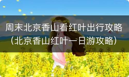 周末北京香山看红叶出行攻略（北京香山红叶一日游攻略）