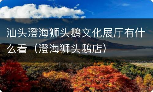 汕头澄海狮头鹅文化展厅有什么看（澄海狮头鹅店）