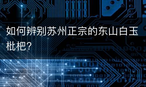 如何辨别苏州正宗的东山白玉枇杷?