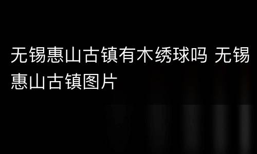 无锡惠山古镇有木绣球吗 无锡惠山古镇图片