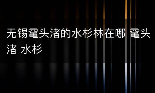 无锡鼋头渚的水杉林在哪 鼋头渚 水杉