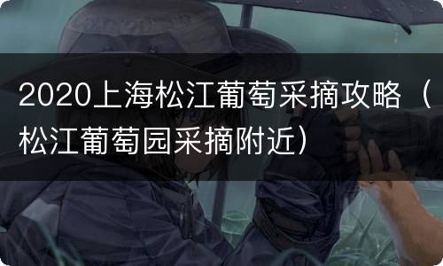2020上海松江葡萄采摘攻略（松江葡萄园采摘附近）
