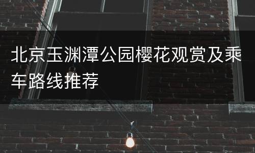 北京玉渊潭公园樱花观赏及乘车路线推荐