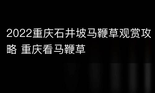 2022重庆石井坡马鞭草观赏攻略 重庆看马鞭草